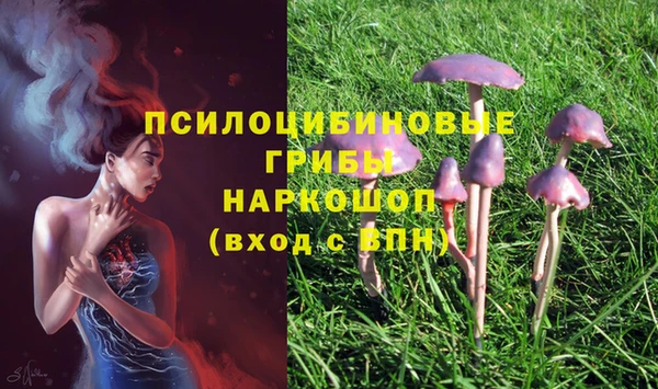 наркотики Михайлов