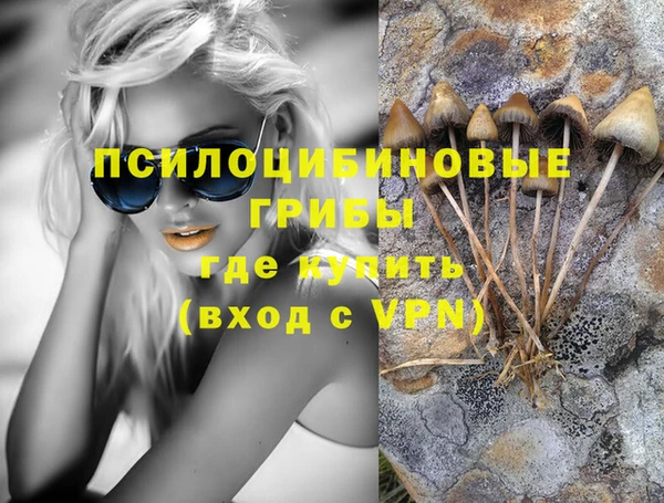 молекула духа Михайловка