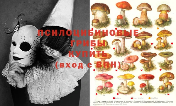 наркотики Михайлов