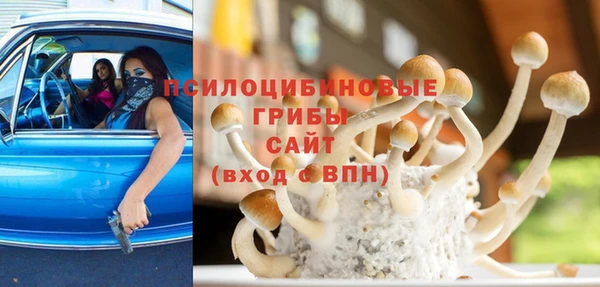 молекула духа Михайловка